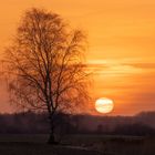 Sonnenuntergang in der Feldmark