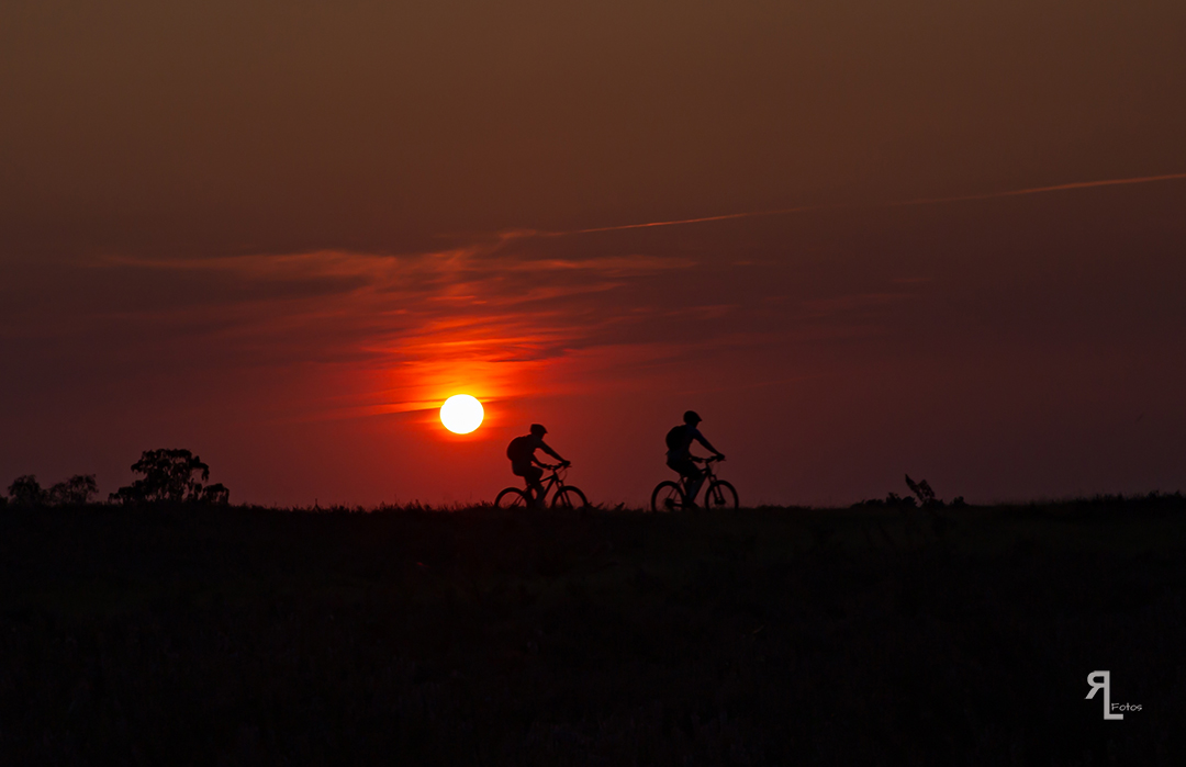 Sonnenuntergang in der Fischbeker Heide