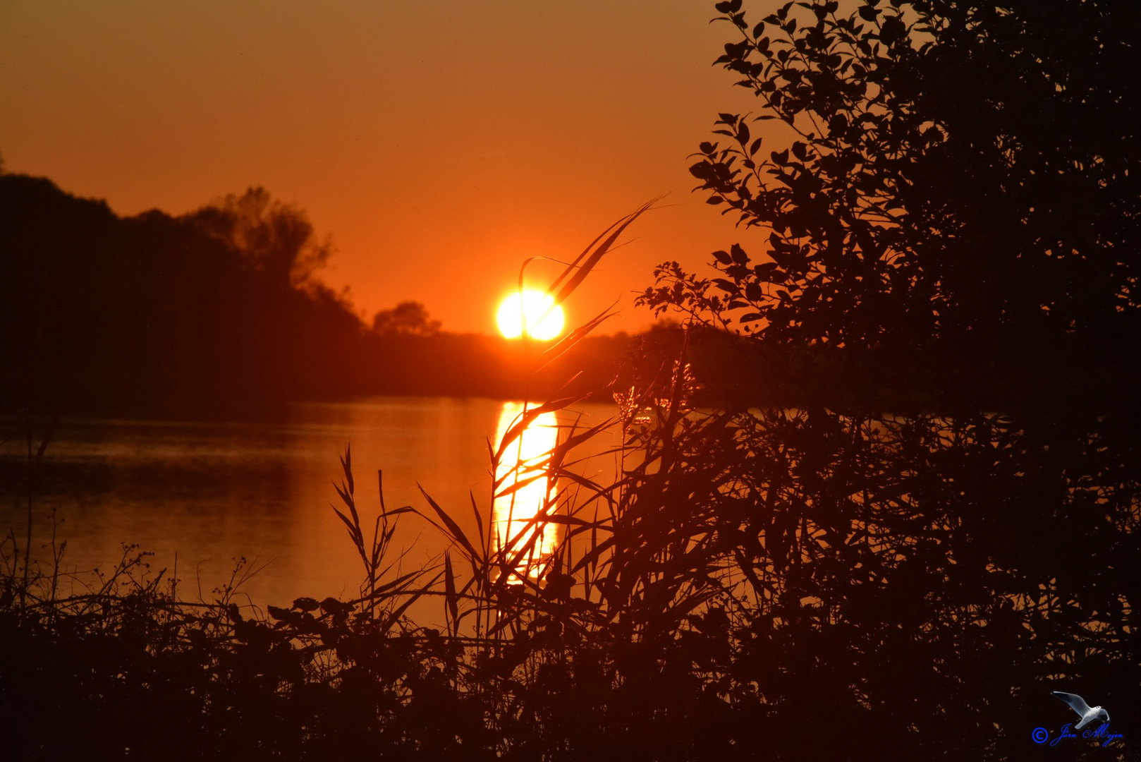 Sonnenuntergang in der Geltinger Birk