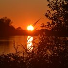 Sonnenuntergang in der Geltinger Birk