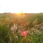 Sonnenuntergang in der Gemeinde Saara bei Altenburg