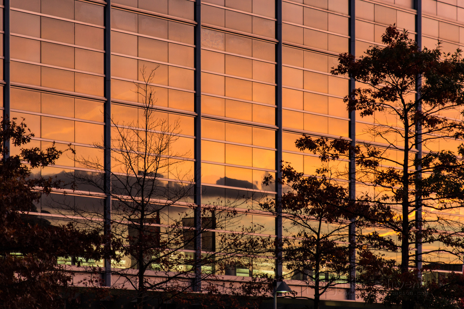 Sonnenuntergang in der Glasfassade