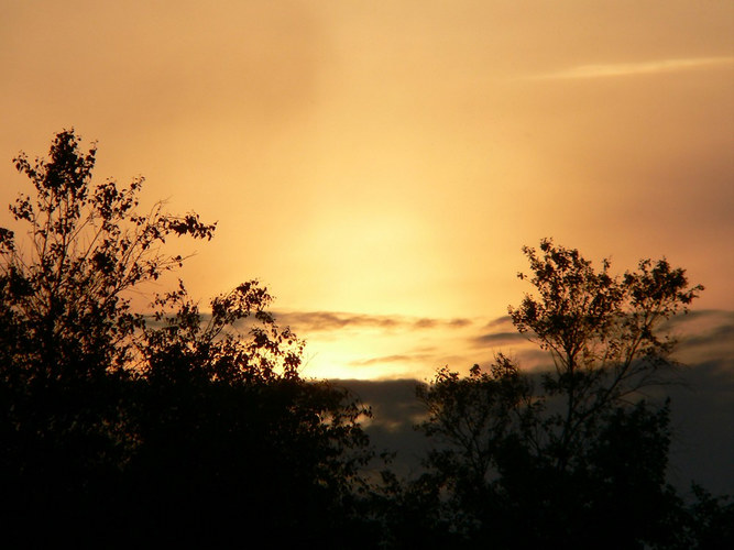 Sonnenuntergang in der Greunen Stee