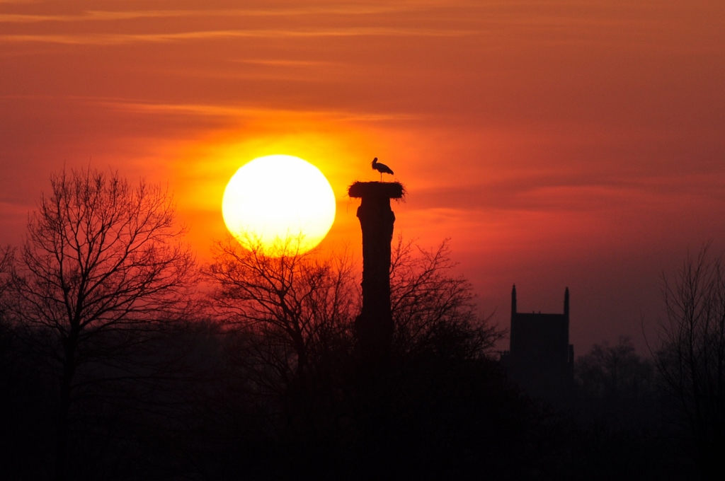 Sonnenuntergang in der Hammer Lippeaue