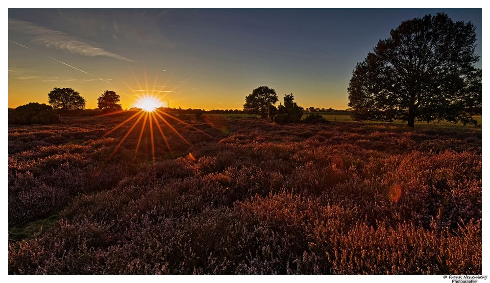 *** Sonnenuntergang in der Heide *** 