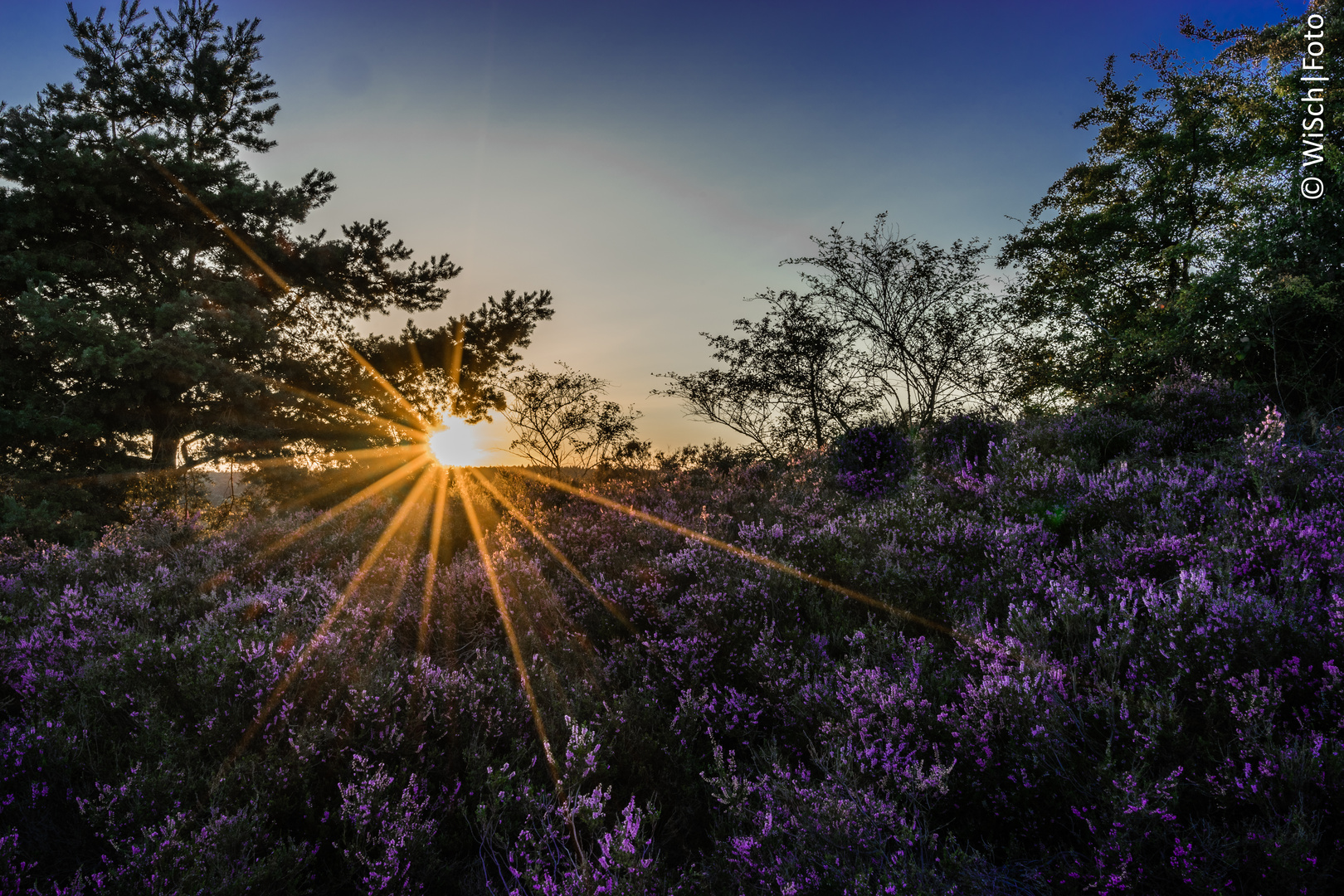 Sonnenuntergang in der Heide