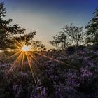 Sonnenuntergang in der Heide