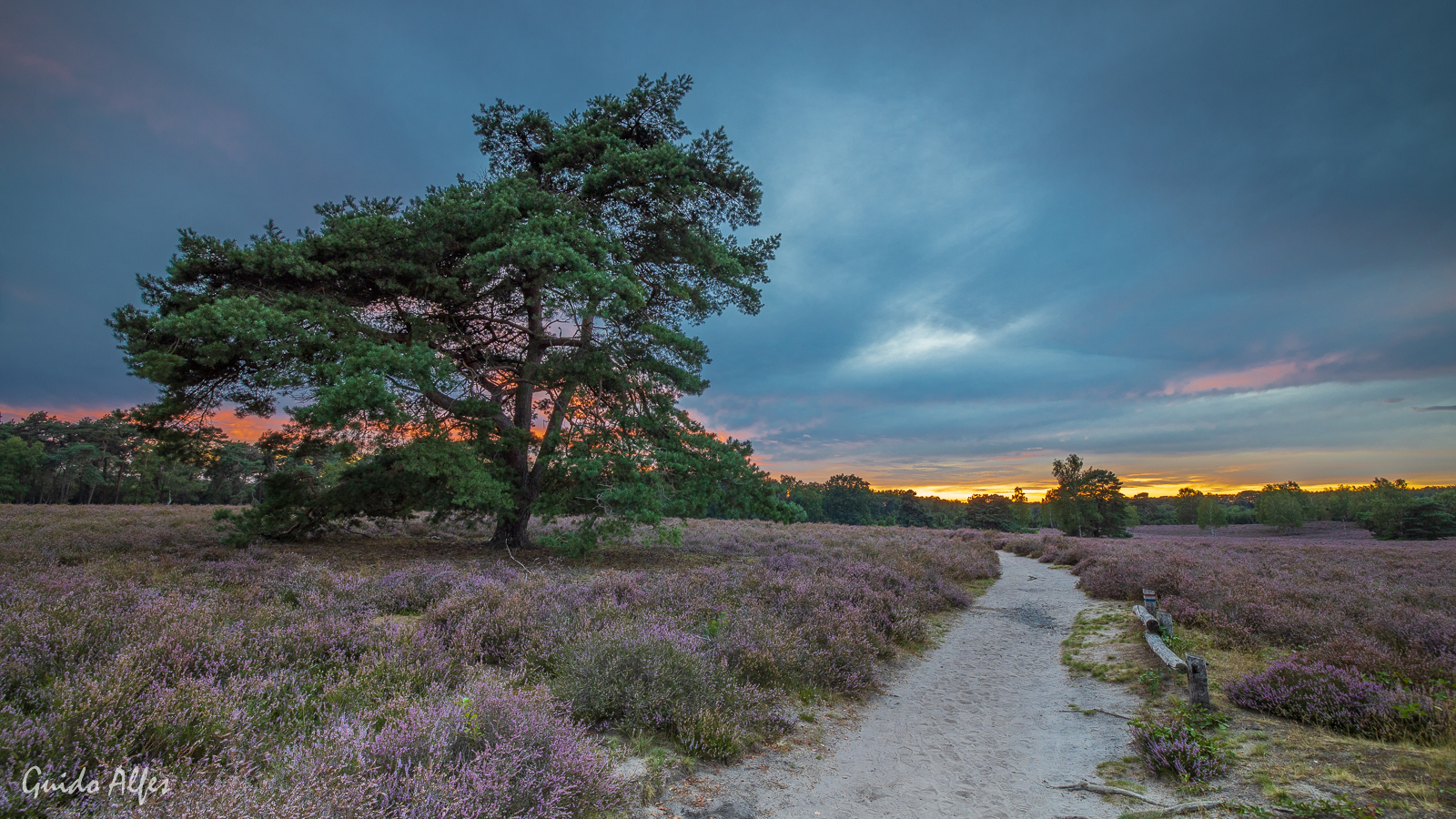 Sonnenuntergang in der Heide