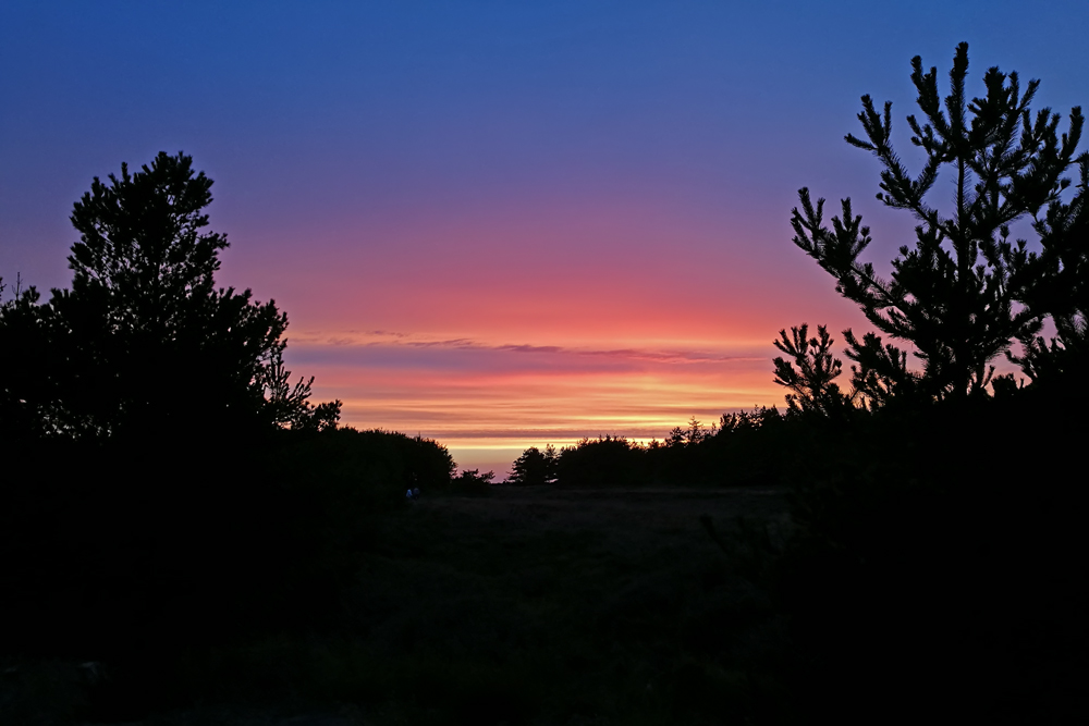 Sonnenuntergang in der Heide