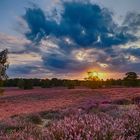 Sonnenuntergang in der Heide