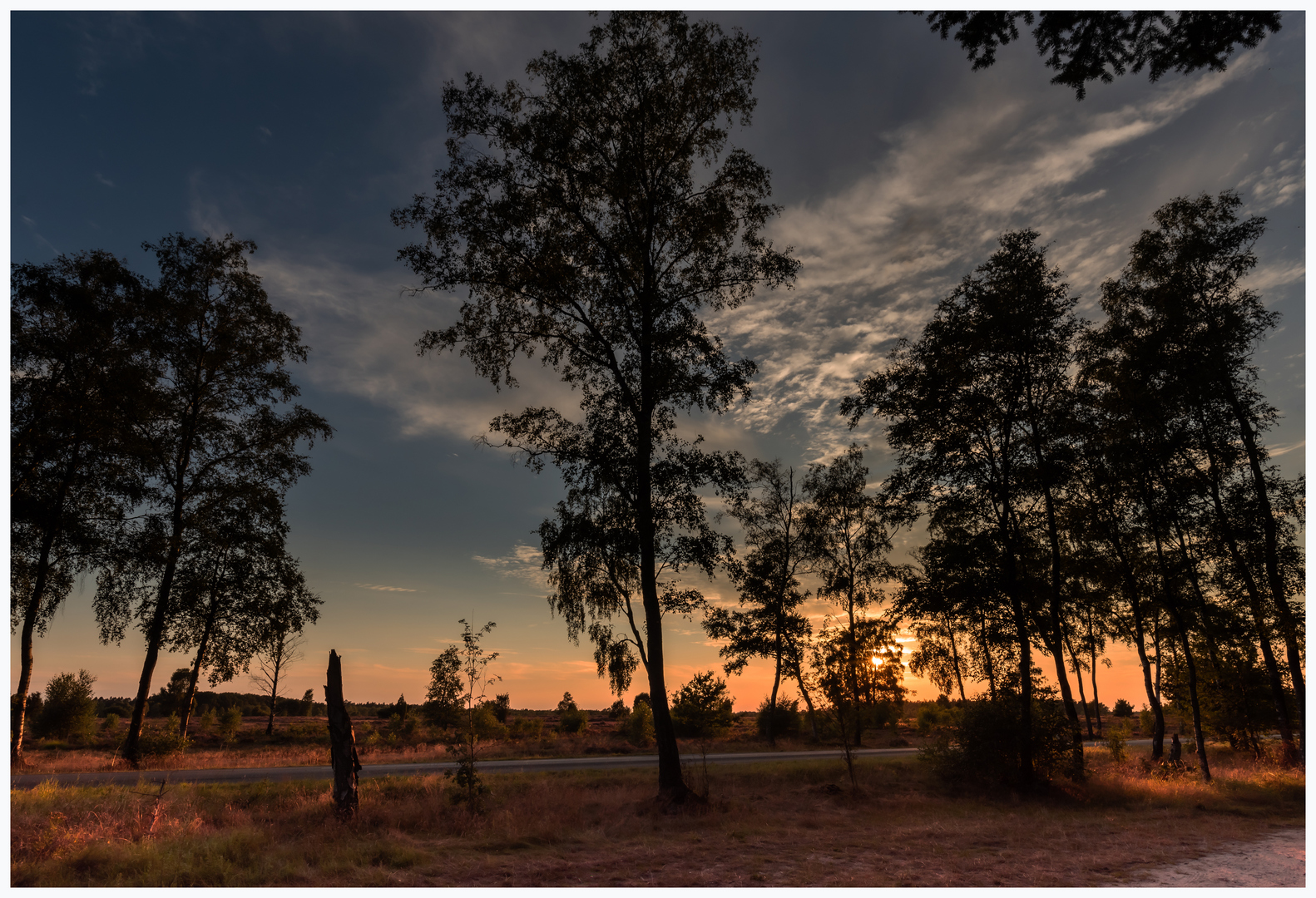 Sonnenuntergang in der Heide