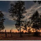 Sonnenuntergang in der Heide