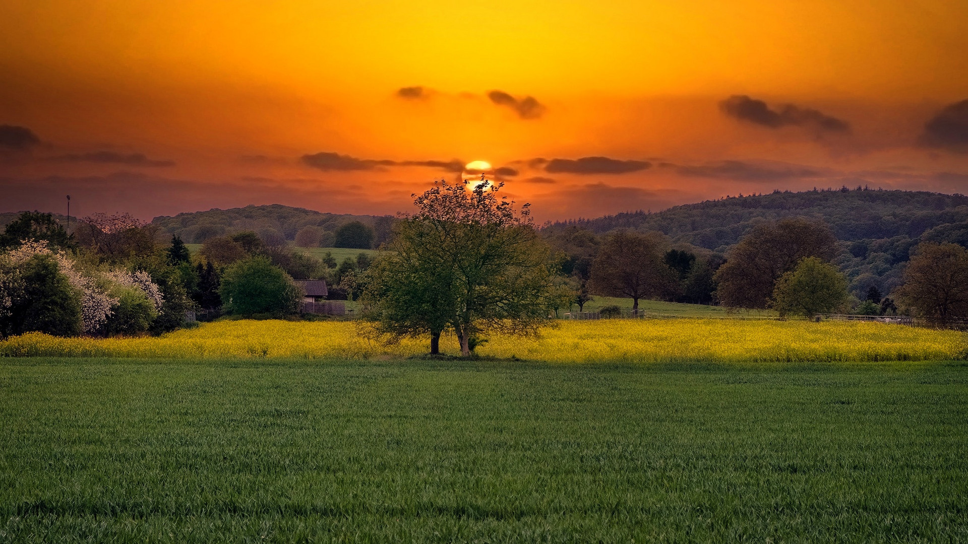 Sonnenuntergang in der Heimat