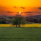 Sonnenuntergang in der Heimat