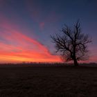 Sonnenuntergang in der heimischen Lewitz