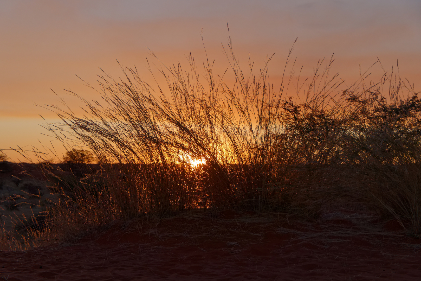 Sonnenuntergang in der Kalahari