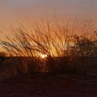 Sonnenuntergang in der Kalahari