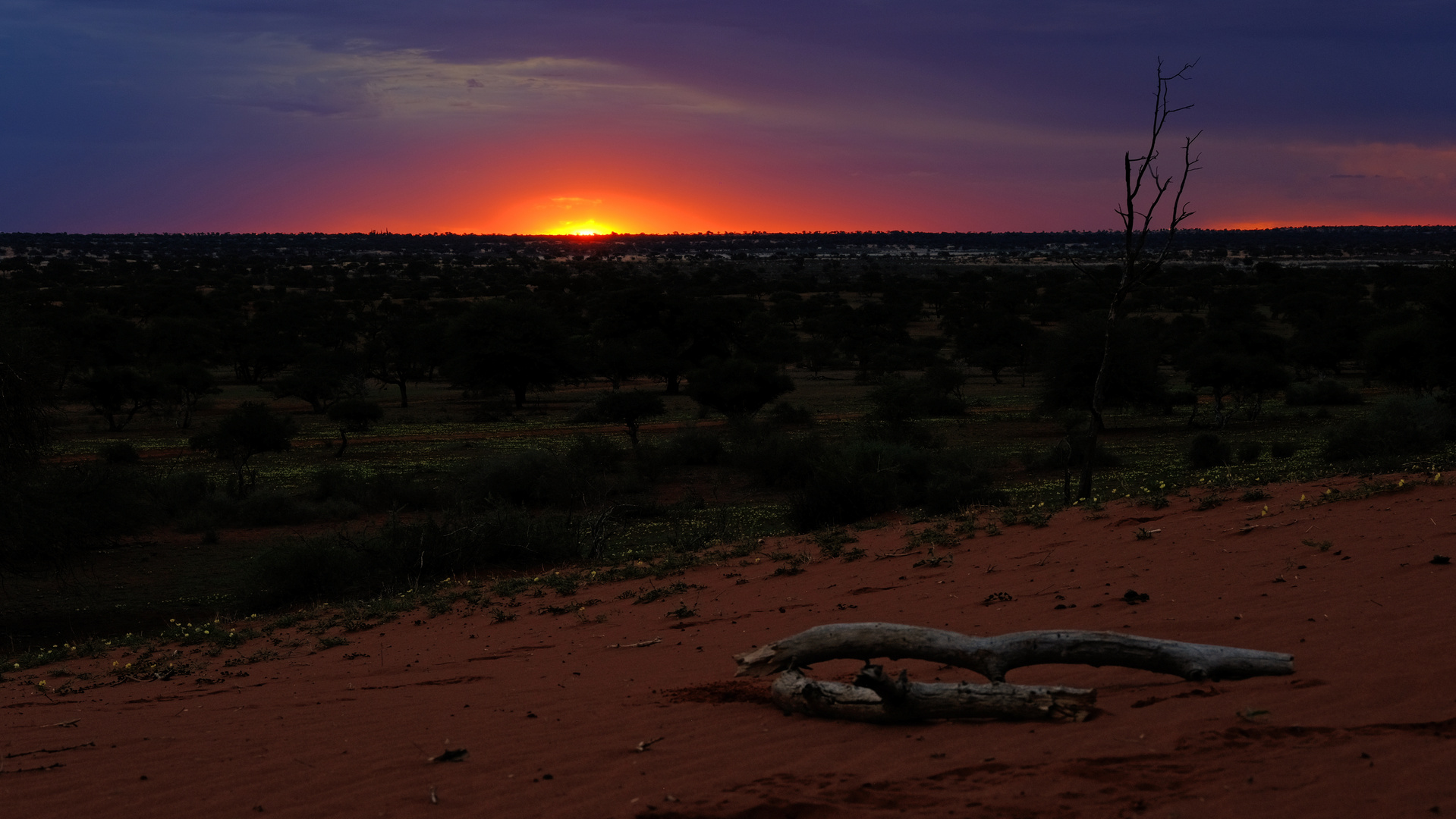 Sonnenuntergang in der Kalahari