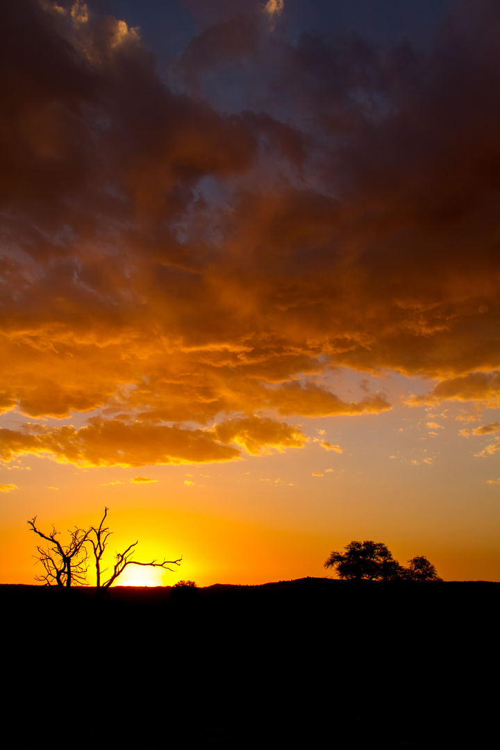 Sonnenuntergang in der Kalahari