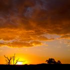 Sonnenuntergang in der Kalahari