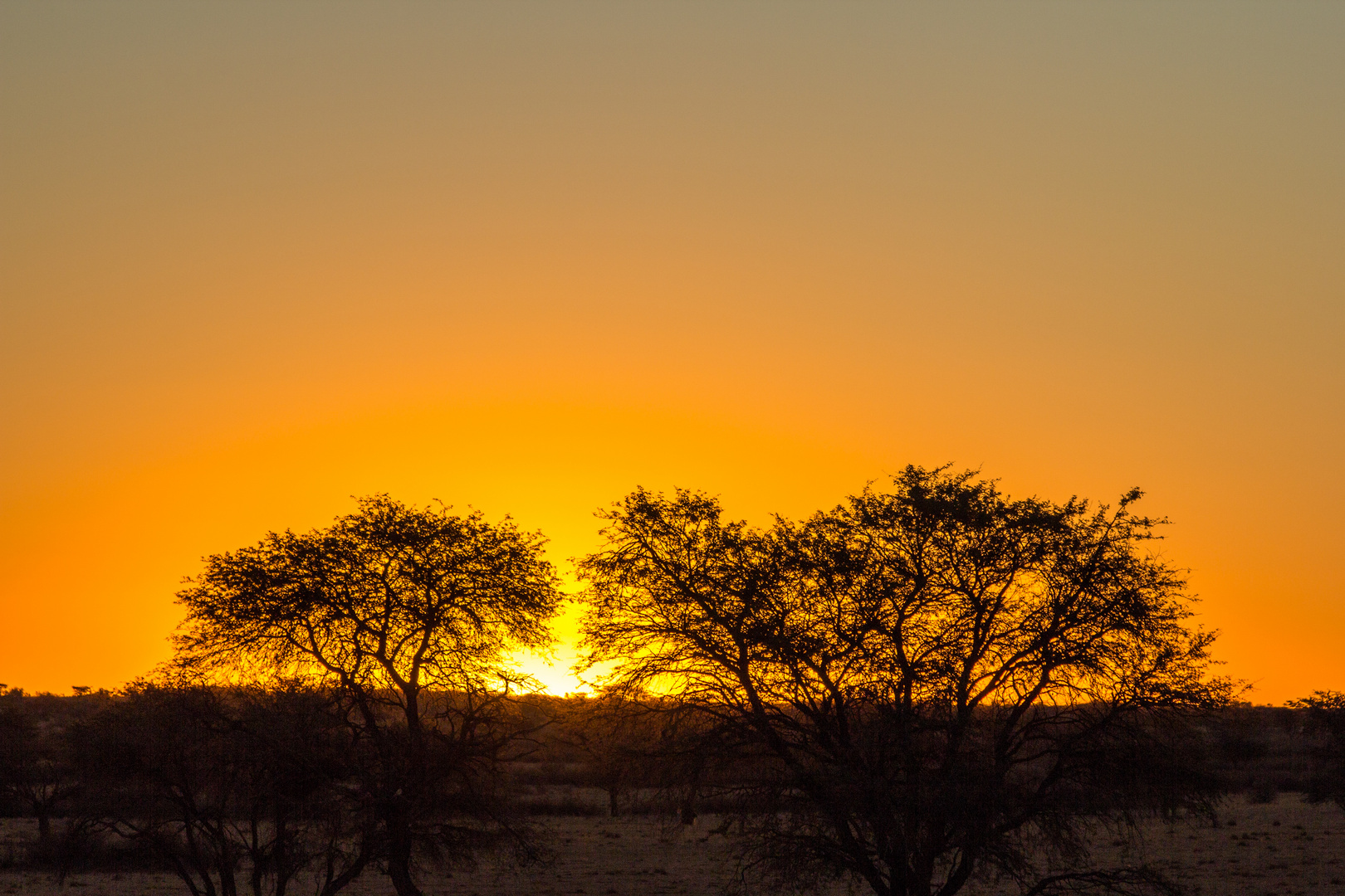 Sonnenuntergang in der Kalahari