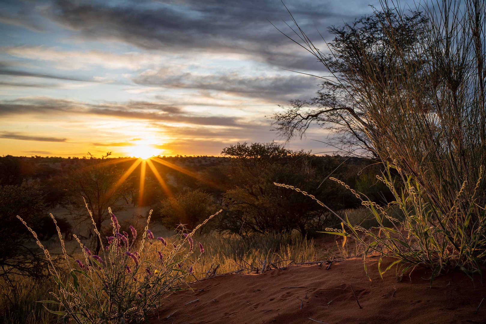 Sonnenuntergang in der Kalahari