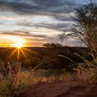 Sonnenuntergang in der Kalahari