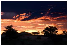 Sonnenuntergang in der Kalahari