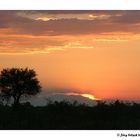Sonnenuntergang in der Kalahari, Botswana