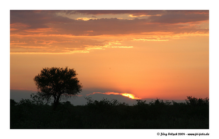 Sonnenuntergang in der Kalahari, Botswana