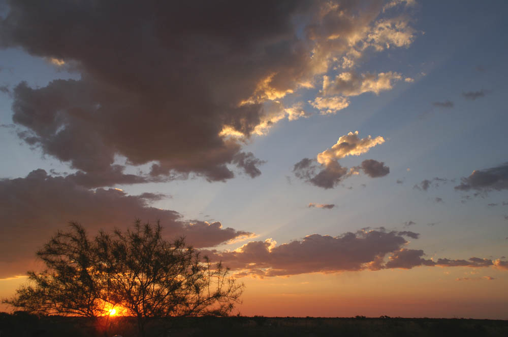 Sonnenuntergang in der Kalahari von Namibia