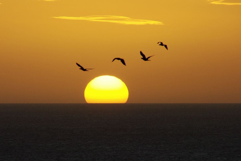 Sonnenuntergang in der Karibik 2009