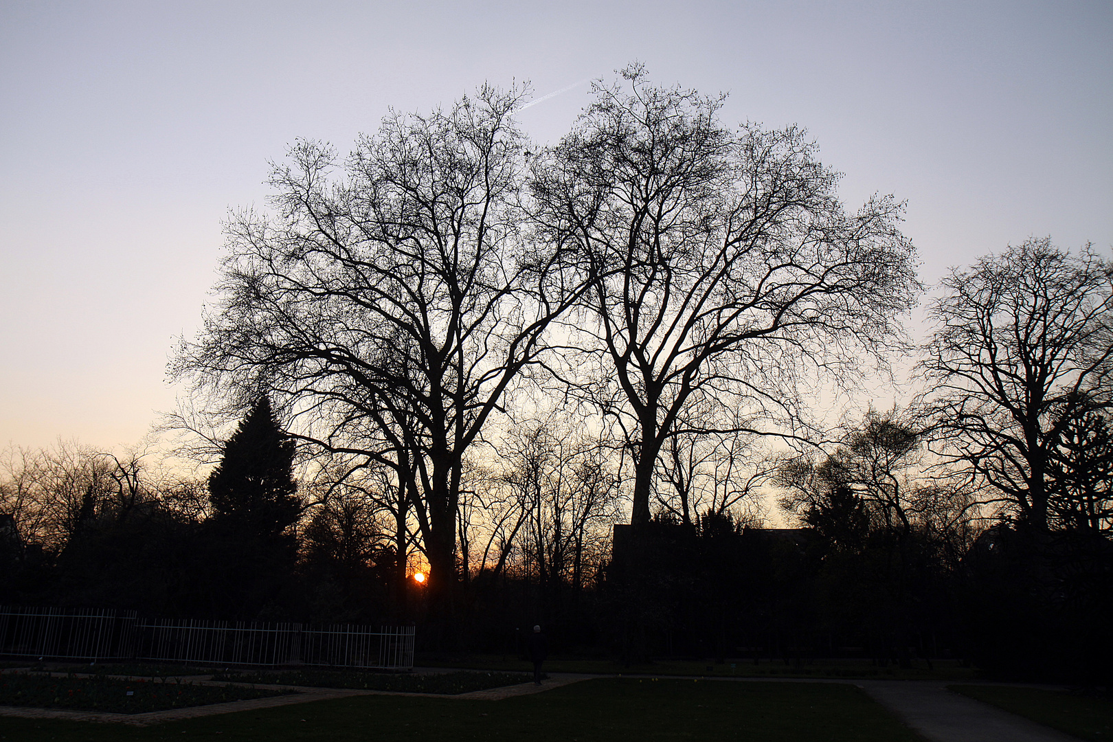 Sonnenuntergang in der Kölner Flora