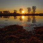 Sonnenuntergang in der Krebsbachaue