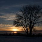 Sonnenuntergang in der Leinemasch