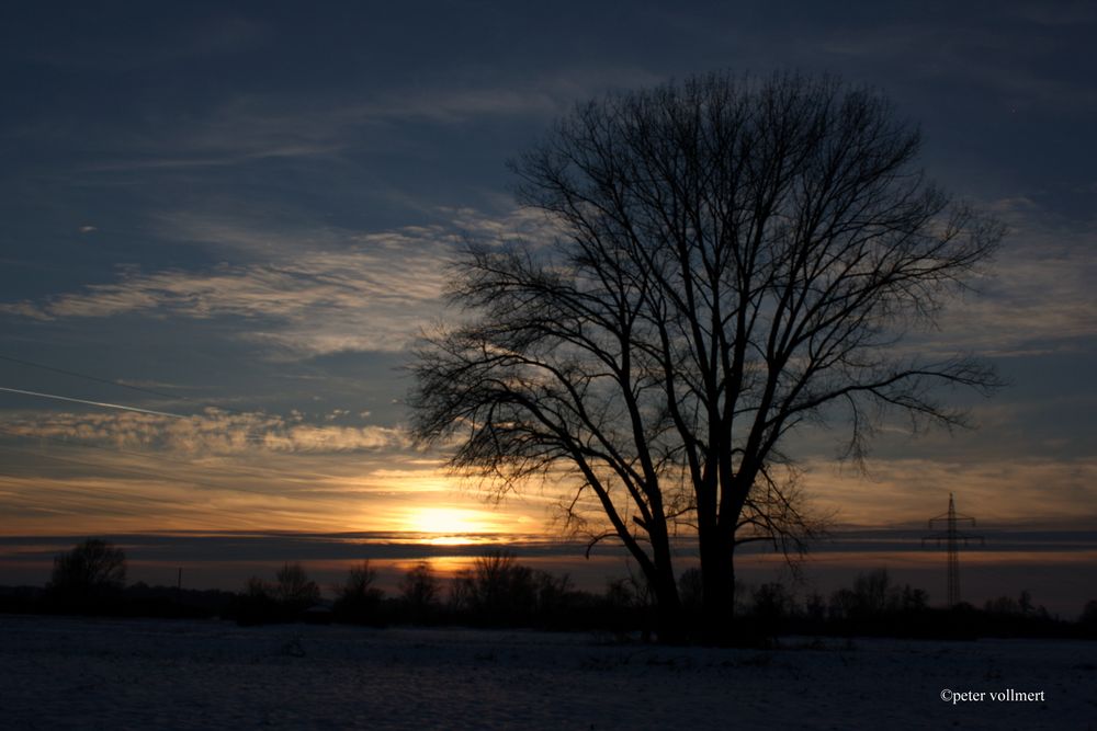 Sonnenuntergang in der Leinemasch