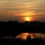 Sonnenuntergang in der Lewitz (Mecklenburg-Vorpommern)