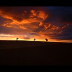 Sonnenuntergang in der libyschen Wüste