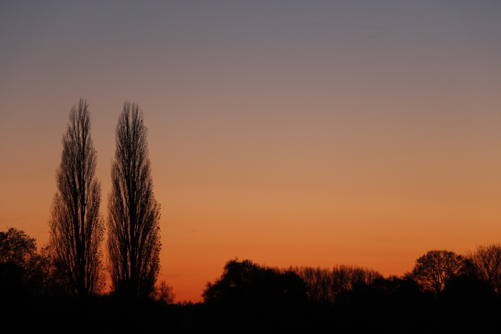 Sonnenuntergang in der Lippeaue (Aufnahme 2)