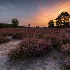 Sonnenuntergang in der Lüneburger Heide 