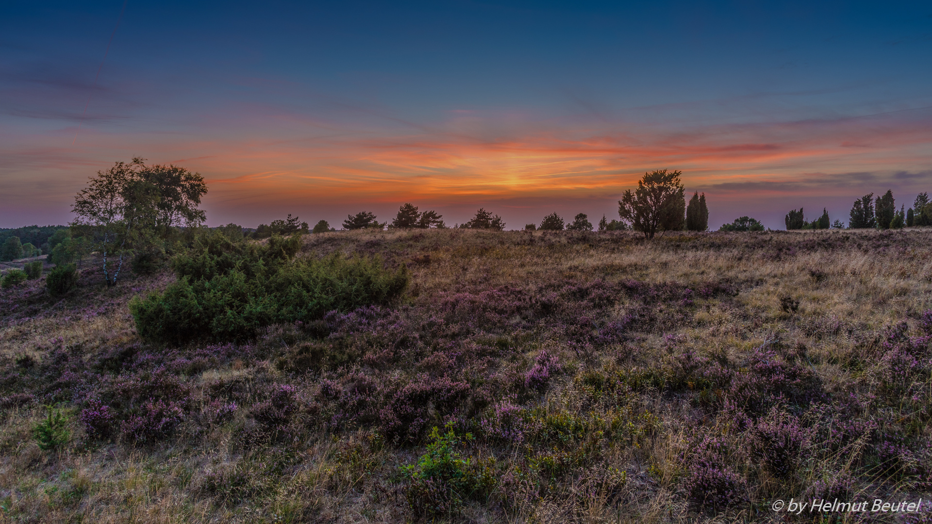 Sonnenuntergang in der Lüneburger Heide