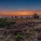 Sonnenuntergang in der Lüneburger Heide