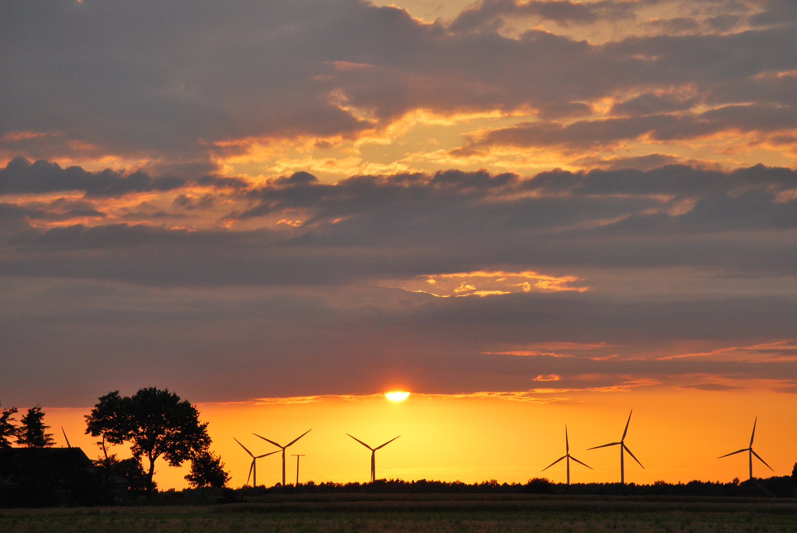 Sonnenuntergang in der Lüneburger Heide