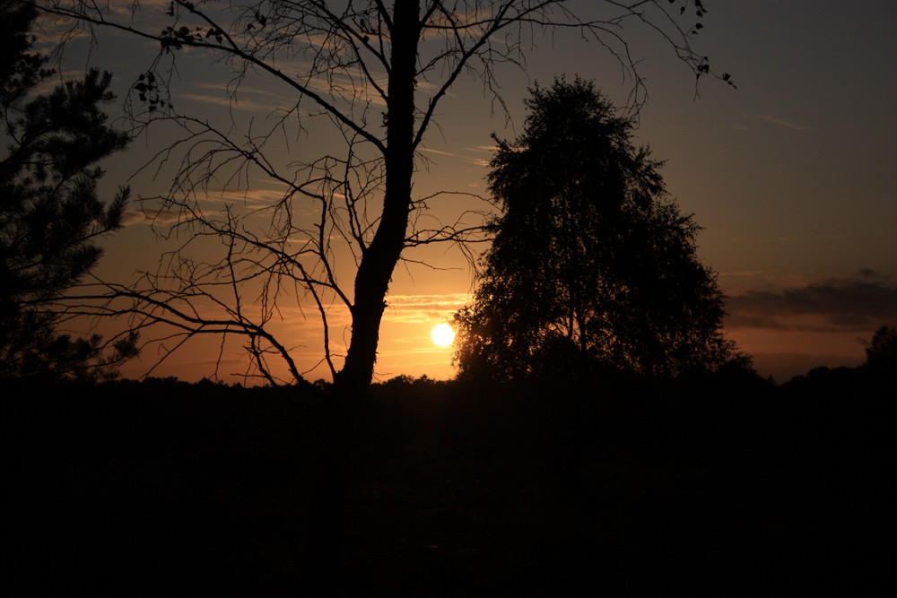 Sonnenuntergang in der Lüneburger Heide