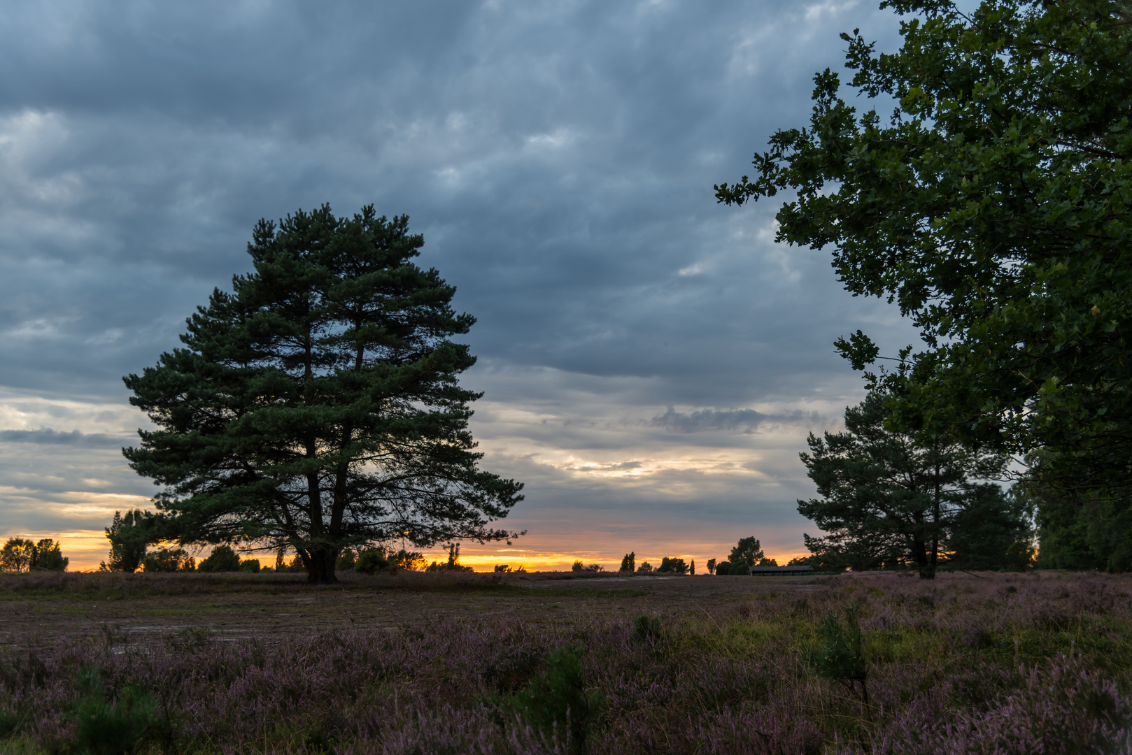 Sonnenuntergang in der Lüneburger Heide