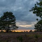 Sonnenuntergang in der Lüneburger Heide