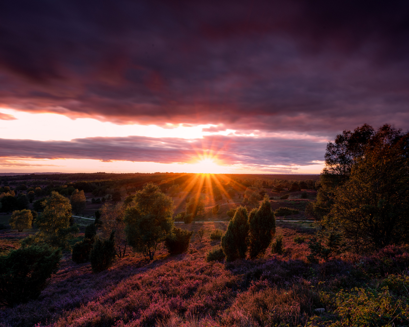 Sonnenuntergang in der Lüneburger Heide