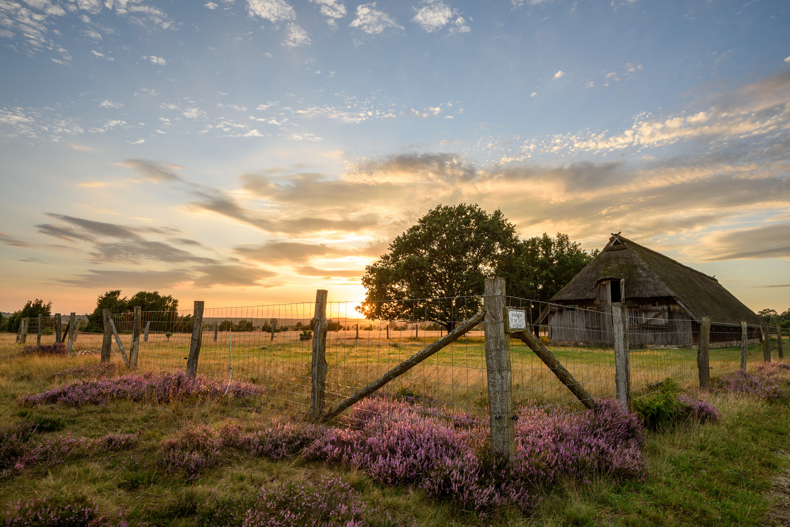 Sonnenuntergang in der Lüneburger Heide