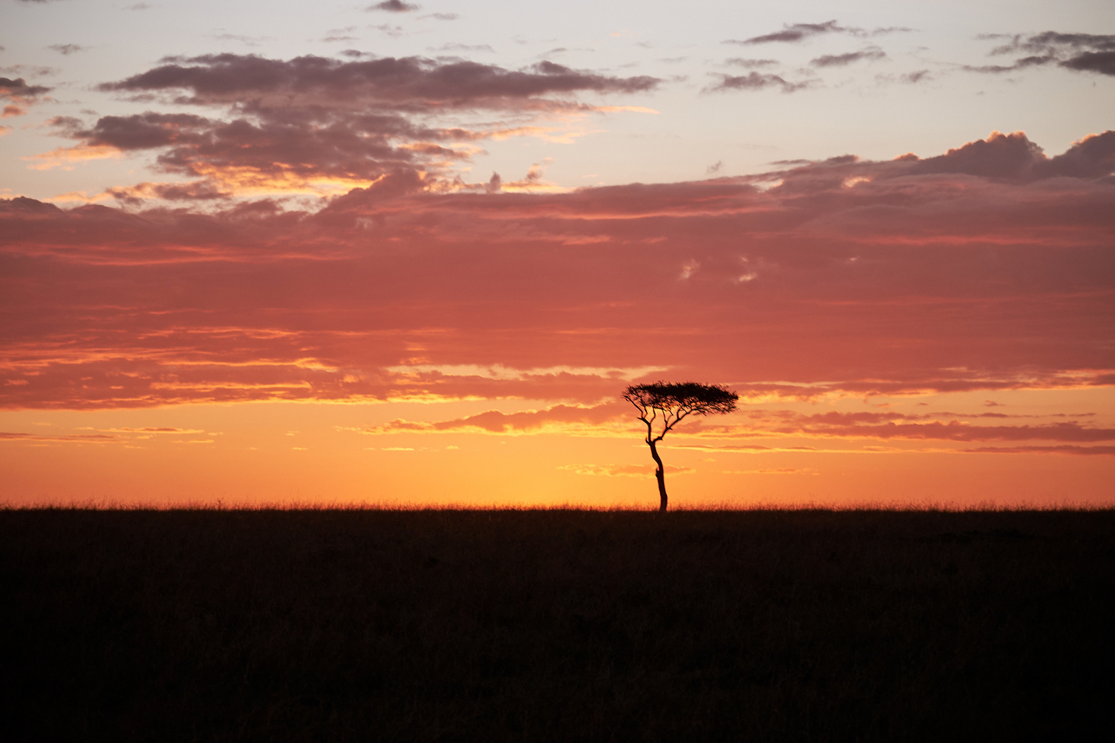 Sonnenuntergang in der Maasai Mara