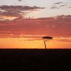 Sonnenuntergang in der Maasai Mara